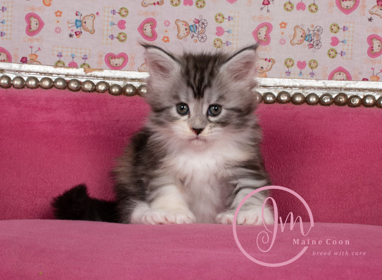 Jelly_Beans_weeks05_03