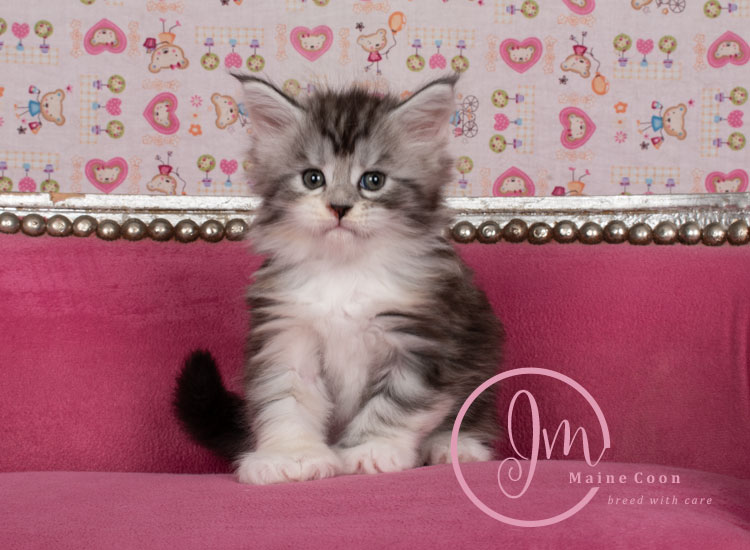 Jelly_Beans_weeks05_05