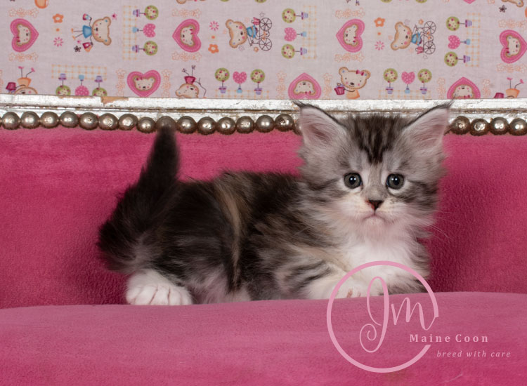 Jelly_Beans_weeks05_07