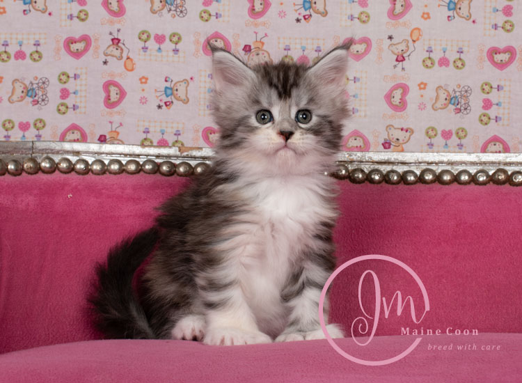 Jelly_Beans_weeks05_10