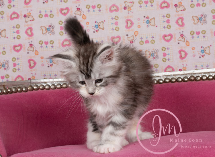 Jelly_Beans_weeks07_05