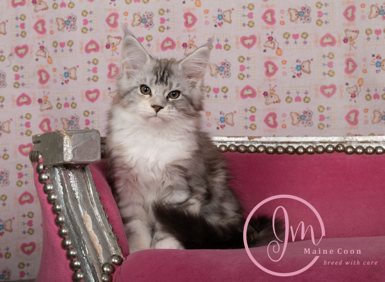 Jelly_Beans_weeks_12_01