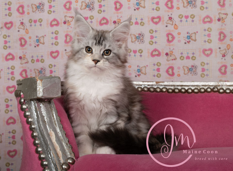 Jelly_Beans_weeks_12_02