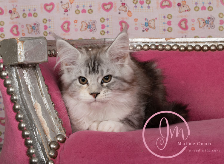 Jelly_Beans_weeks_12_03