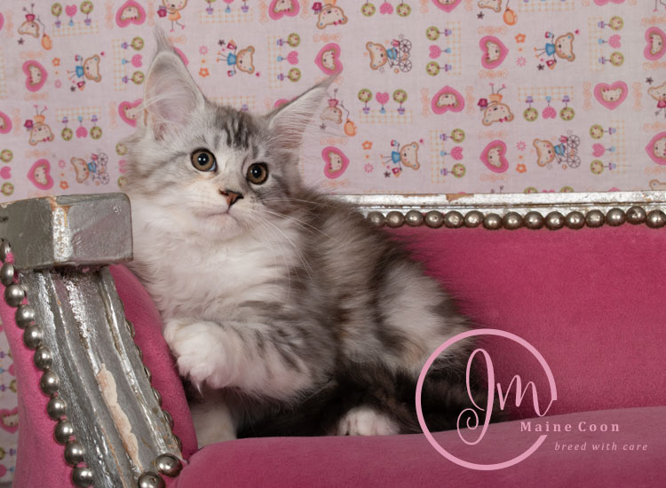 Jelly_Beans_weeks_12_04