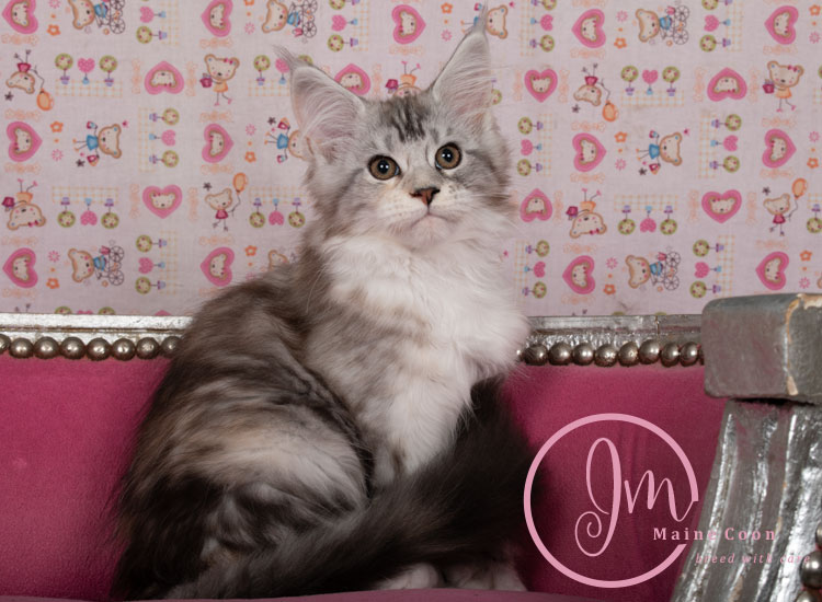 Jelly_Beans_weeks_12_05