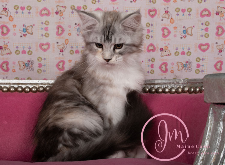 Jelly_Beans_weeks_12_06