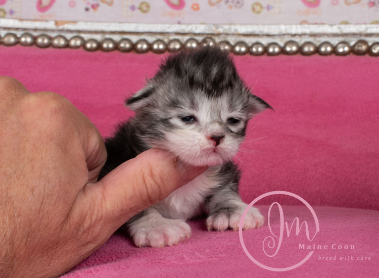 Jelly_Beansweeks_days07_01