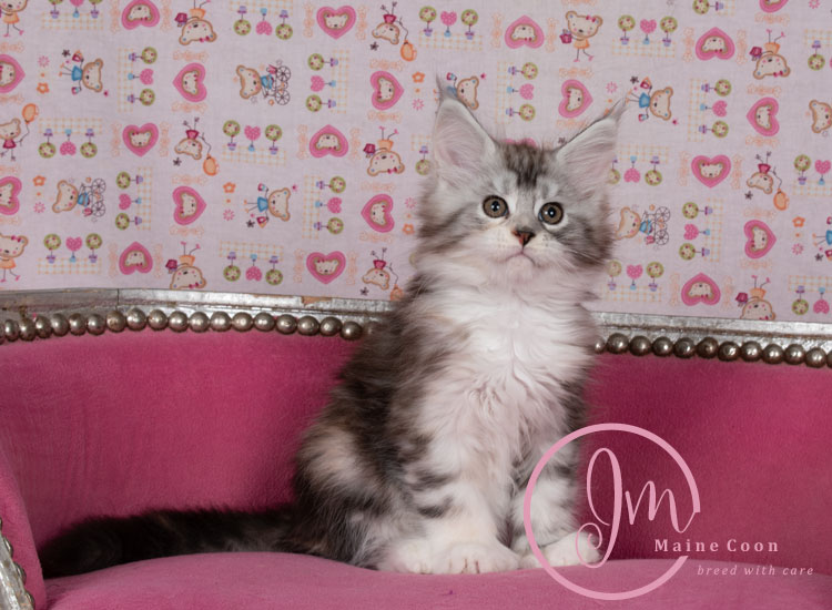 Jelly_Beansweeks_days09_02