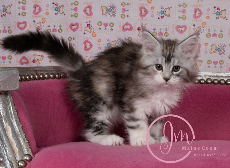 Jelly_Beansweeks_days09_03