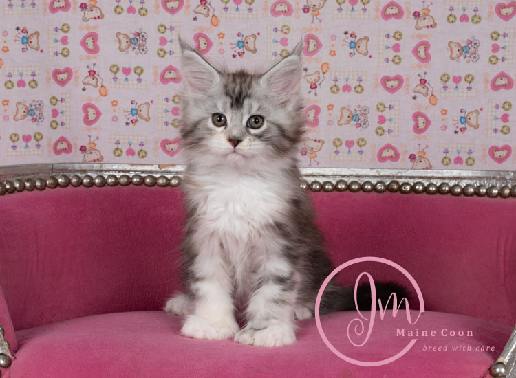 Jelly_Beansweeks_days09_05