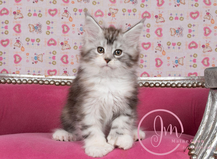 Jelly_Beansweeks_days09_06