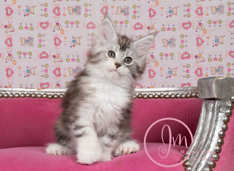 Jelly_Beansweeks_days09_07