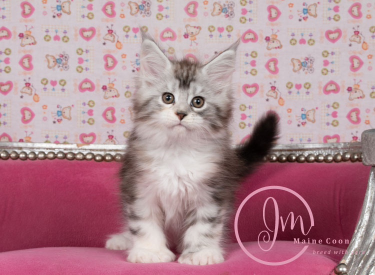 Jelly_Beansweeks_days09_08