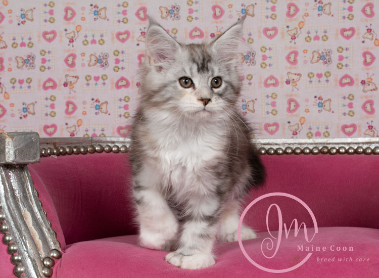 Jelly_Beansweeks_days11_01