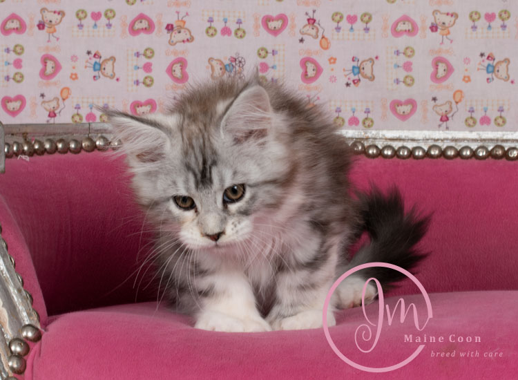 Jelly_Beansweeks_days11_02