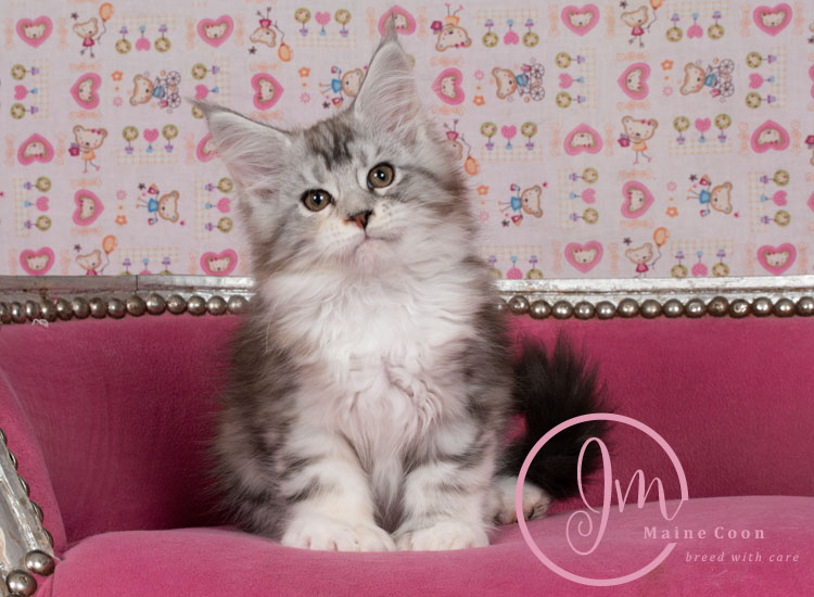 Jelly_Beansweeks_days11_03