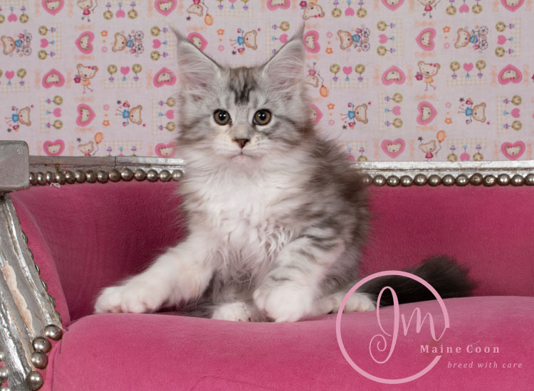 Jelly_Beansweeks_days11_04