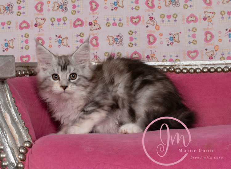 Jelly_Beansweeks_days11_06