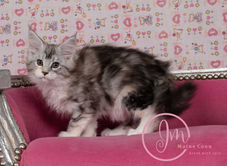 Jelly_Beansweeks_days11_07