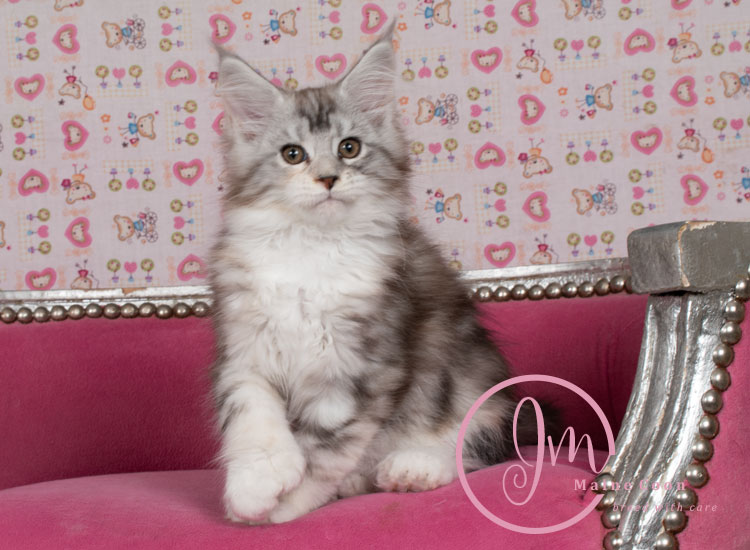 Jelly_Beansweeks_days11_08