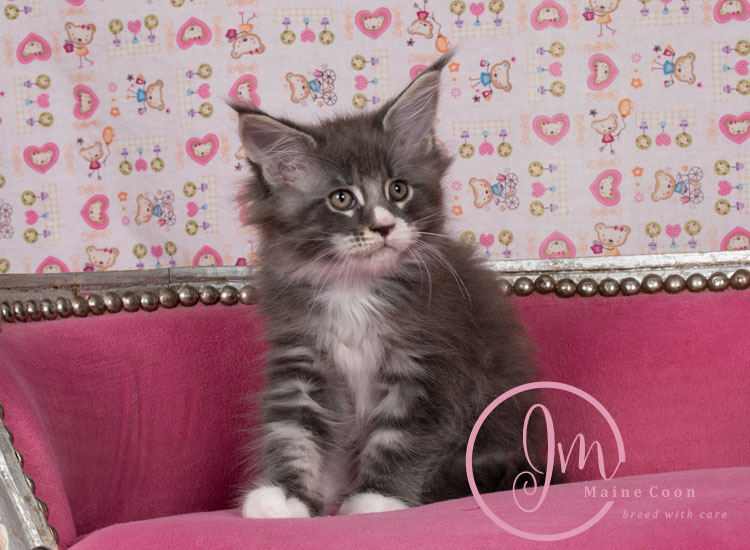 trolliweeks_days09_03