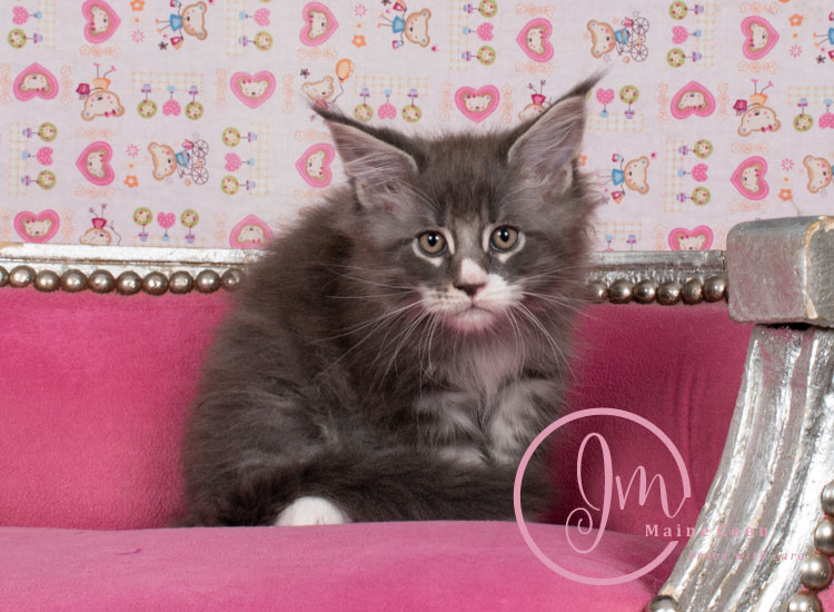 trolliweeks_days09_08