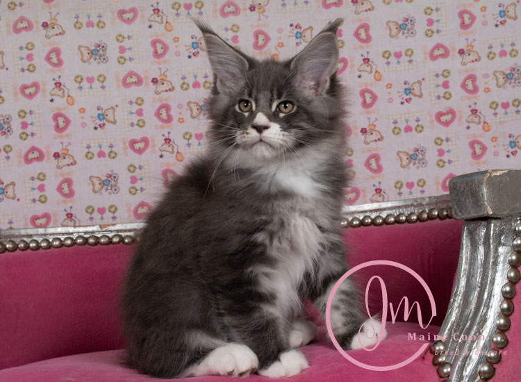 trolliweeks_days11_01