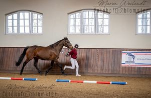 IMG_0235
