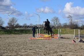 IMG_0345
