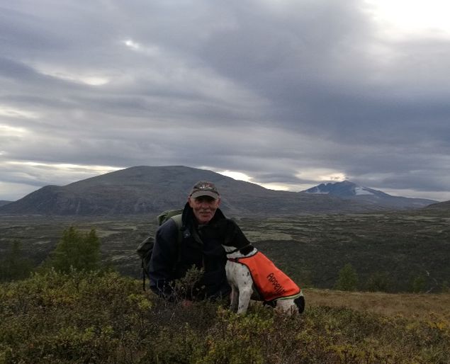 Pointerklubbens hovedprøve 1. sept. 2018.
Store gratulasjoner til Arnt Ove Ohrstrand som oppnådde 1 AK på Jutevatnets Rollon (NJCh Jutevatnets Radar x Jutevatnets Dina). 
Pål Dambakken fikk 2 UK på Jutevatntes Rana. Dette er fjerde premie på 4 starter. Kennelens egne hunder lykkes ikke i dag og fikk mange riper i lakken. Likevel går Katla og Prima videre til morgendagens finale.