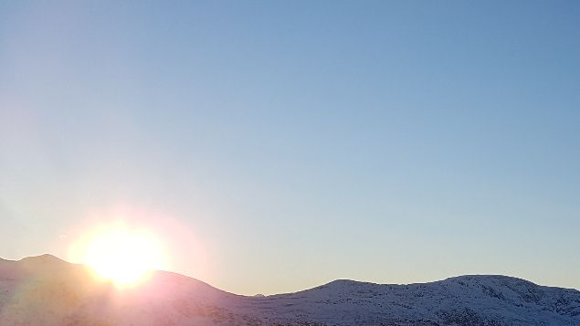Så er vi nok engang begynt på sesongen der solen står lavt og dagene blir korte. Det skjer lite annet enn noen lufteturer til fjells. Når solen snur blir det løpetid i flokken og da skal vi lage siste kull på Prima...