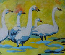 Sangsvaner 50x40