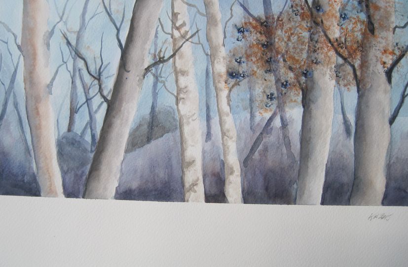 Forest III
