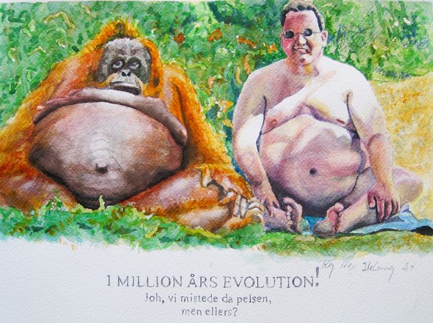 1 million års evulotion