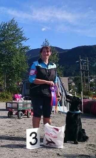 Wilma har i helgen startet i Rally-LP. På lørdag var det Ørsta og Volda Hundeklubb som arrangerte og Wilma var helt med på leken. At kartleseren, les meg, ikke hadde kontroll på alle skiltene førte til to repetisjoner, men alt i alt holdt det til 189 poeng, 1 premie og nr 3 i Klassen. På søndagen var det Sunnmøre Hundeklubb som var arrangørklubb. Wilma var igjen med på notene, men hun hadde glemt hvordan man setter seg opp fra dekk, så med dobbeltkommando og en repetisjon ble det 190 poeng, 1premie og direkte opprykk til klasse 2.