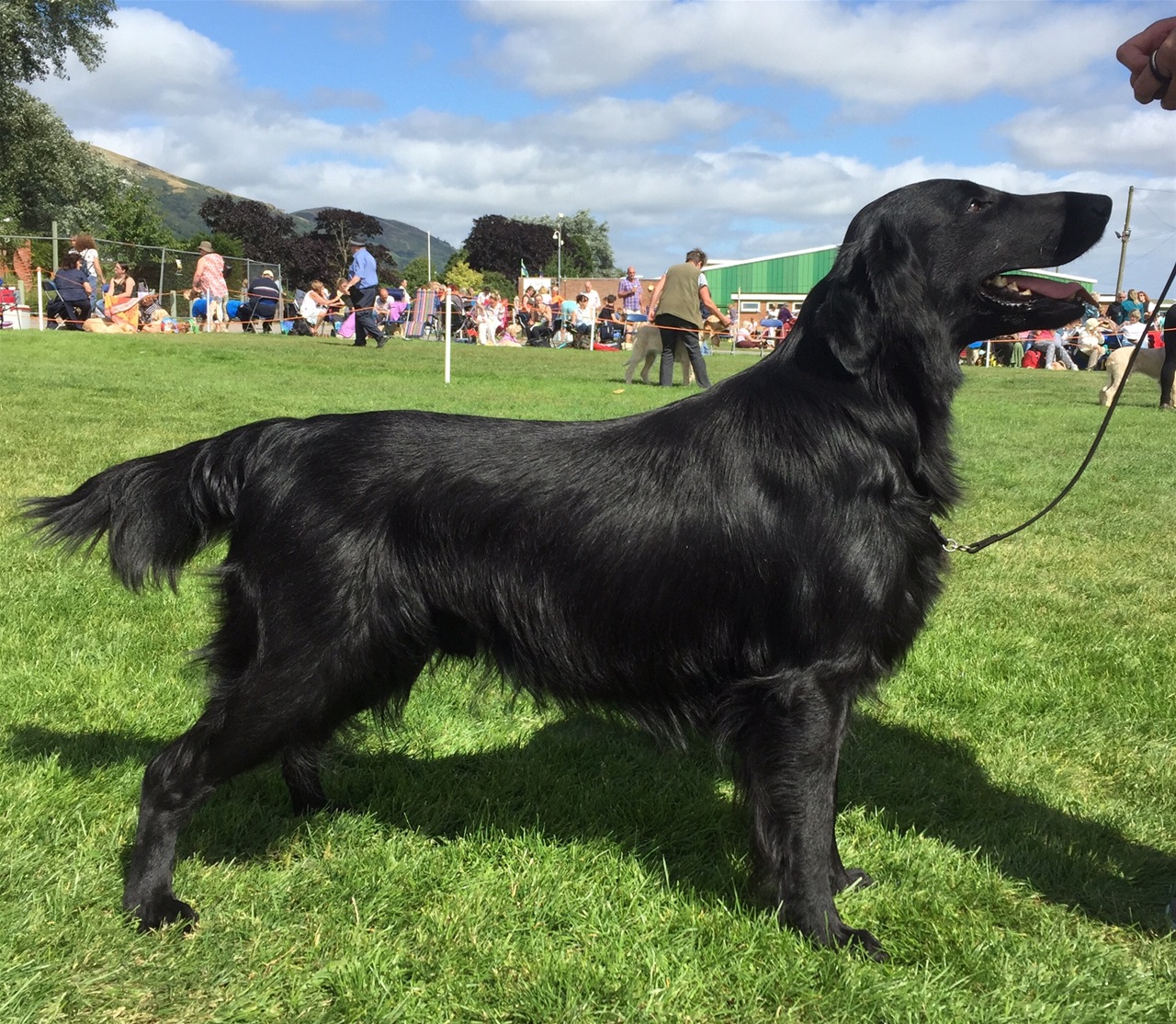 Xxx tashrif buyuruvchilar fotosuratlari Alna Vodonaeva bilan jinsiy aloqa video