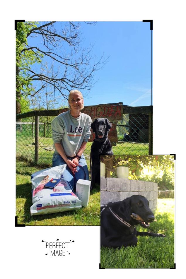 Kalexas Loch Fern «Lizzie» med eier og fører Sølvi har i dag debutert på blodsporprøve. Det gjorde de til en 1 pr og prøvens 2 beste hund!
Gratulerer sp mye fra stolte oppdrettere 🌟👏🏻🌟