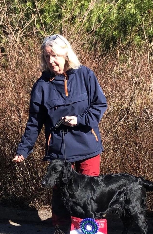 🇳🇴✨NBSCH KALEXAS LOCH AWE «Maja»✨🇳🇴
(CH Greenbayhill Black Tuxedo x Flat Garden’s Elwen XXII)

Maja gikk til sin tredje 1 pr på blodspor i dag og ble dermed Norsk Blodsporchampion! 
Hun ble også prøvens andre beste hund!

✨Kalexas Seven Sisters «Frida»✨
(CH Clandrift Dark Legend x Kalexas River Nith)

Frida gikk også til en 1 pr i dag og mangler da kun en 1 premie på spor før hun har sitt første Championat hvilende til etter fylte to år.
Frida ble 1 år i går, 1/4, så imponerende av den lille jenta.

Fører og eier på begge jentene er Kari Melberg.

✨🌸Stolte og ydmyke oppdrettere gratulerer så mye🌸✨