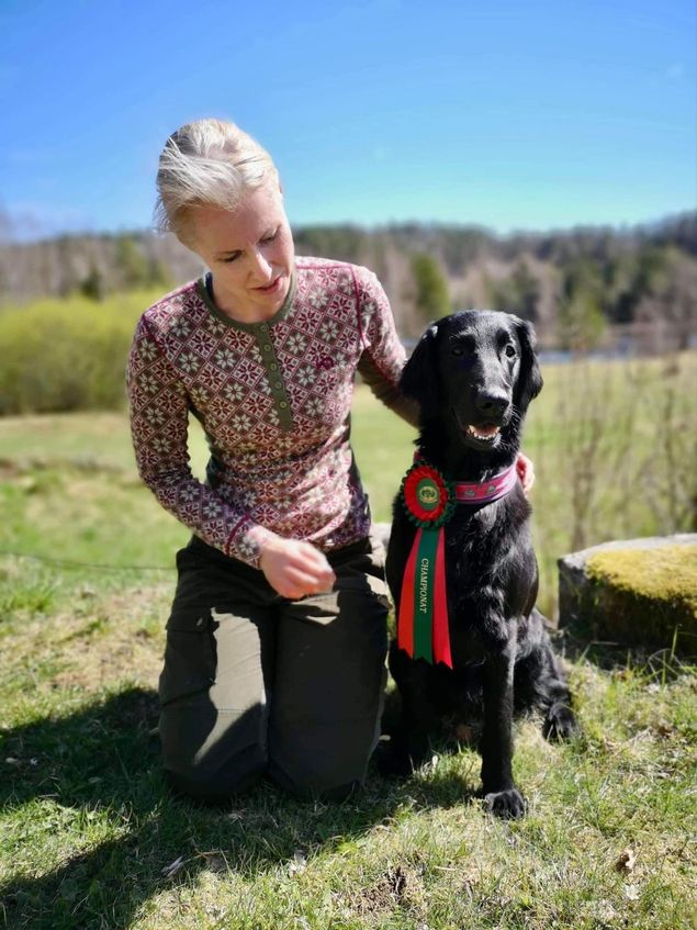 Lizzie har gått til sin tredje 1pr på blodsporprøve og kan dermed legge sitt første Championat til sitt navn og heter dermed
✨🇳🇴NBSCH RLI RLII RLIII Kalexas Loch Fern🇳🇴✨
Eier og fører er Sølvi Eyde Olsen.

Gratulerer så mye fra superstolte oppdrettere! 🫶🏻✨🫶🏻