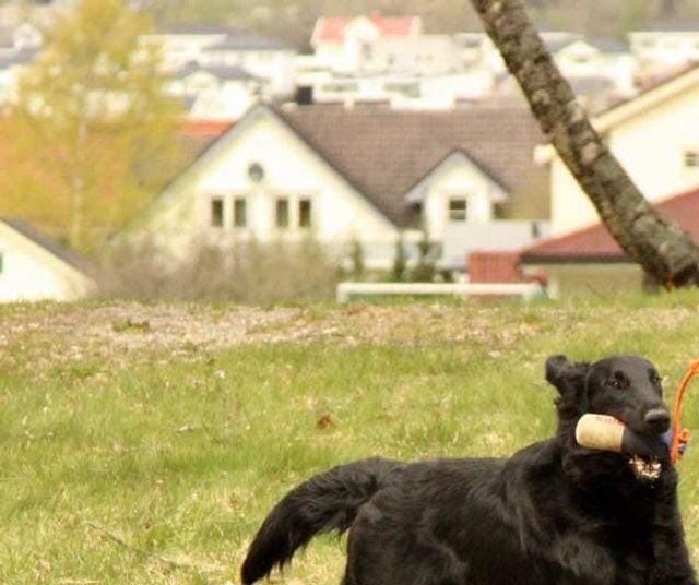 Foto; K. Gunstad