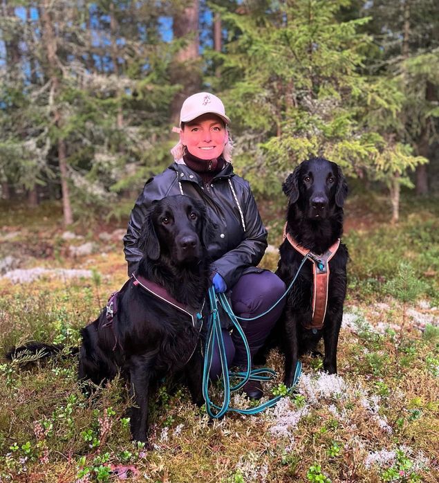 🌟Kalexas Devil’s Dyke «Kristoffer Robin»🌟
(CH Clandrift Dark Legend x Kalexas River Nith)

Robin har i dag fått godkjent fersksporprøven og er nå godkjent ettersøkshund!
Gratulerer så mye til eier og fører Ingun Nesfeldt fra stolte oppdrettere 🥳🥰🥳