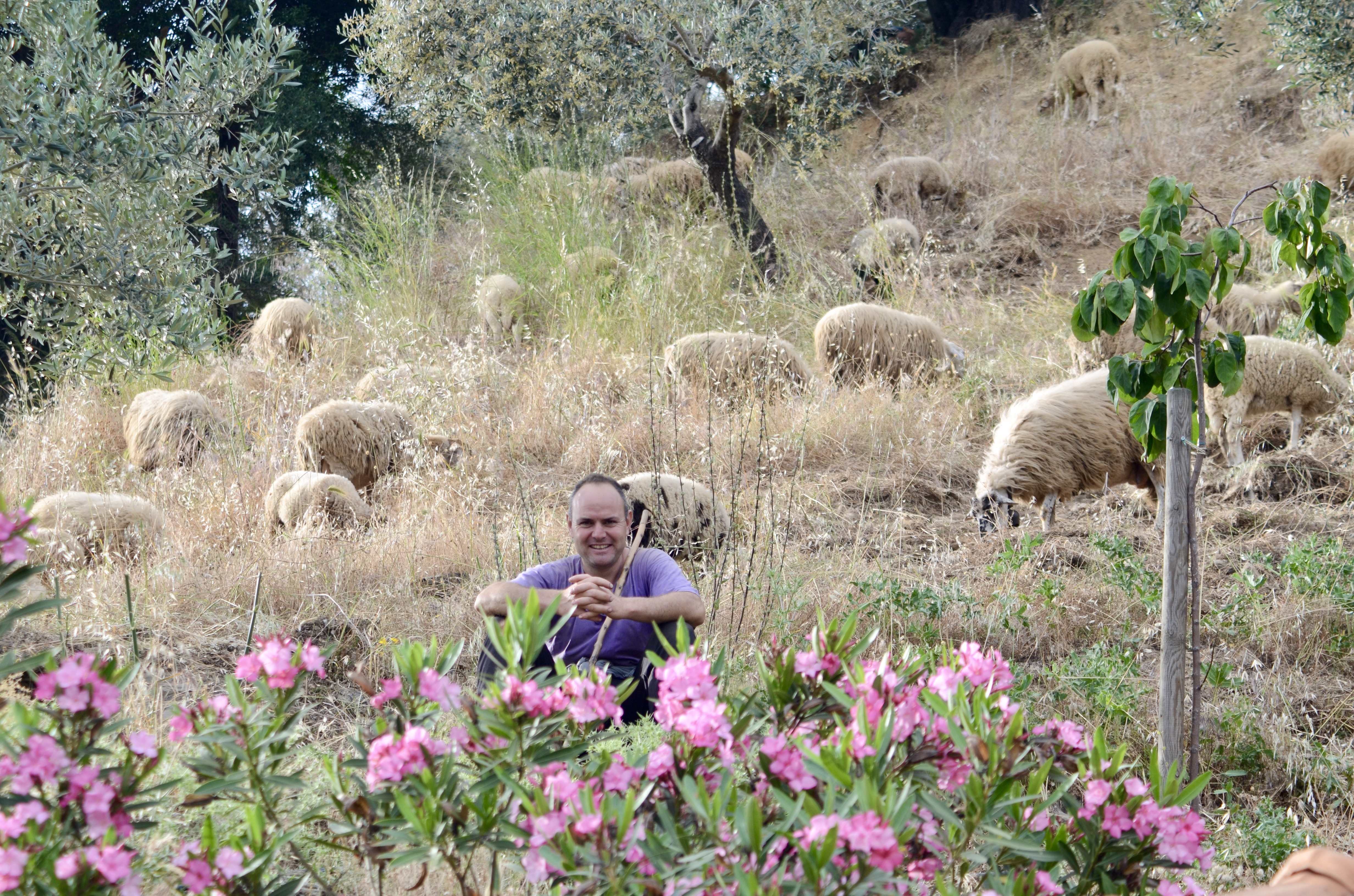 Greek sheperd Pelion Greece