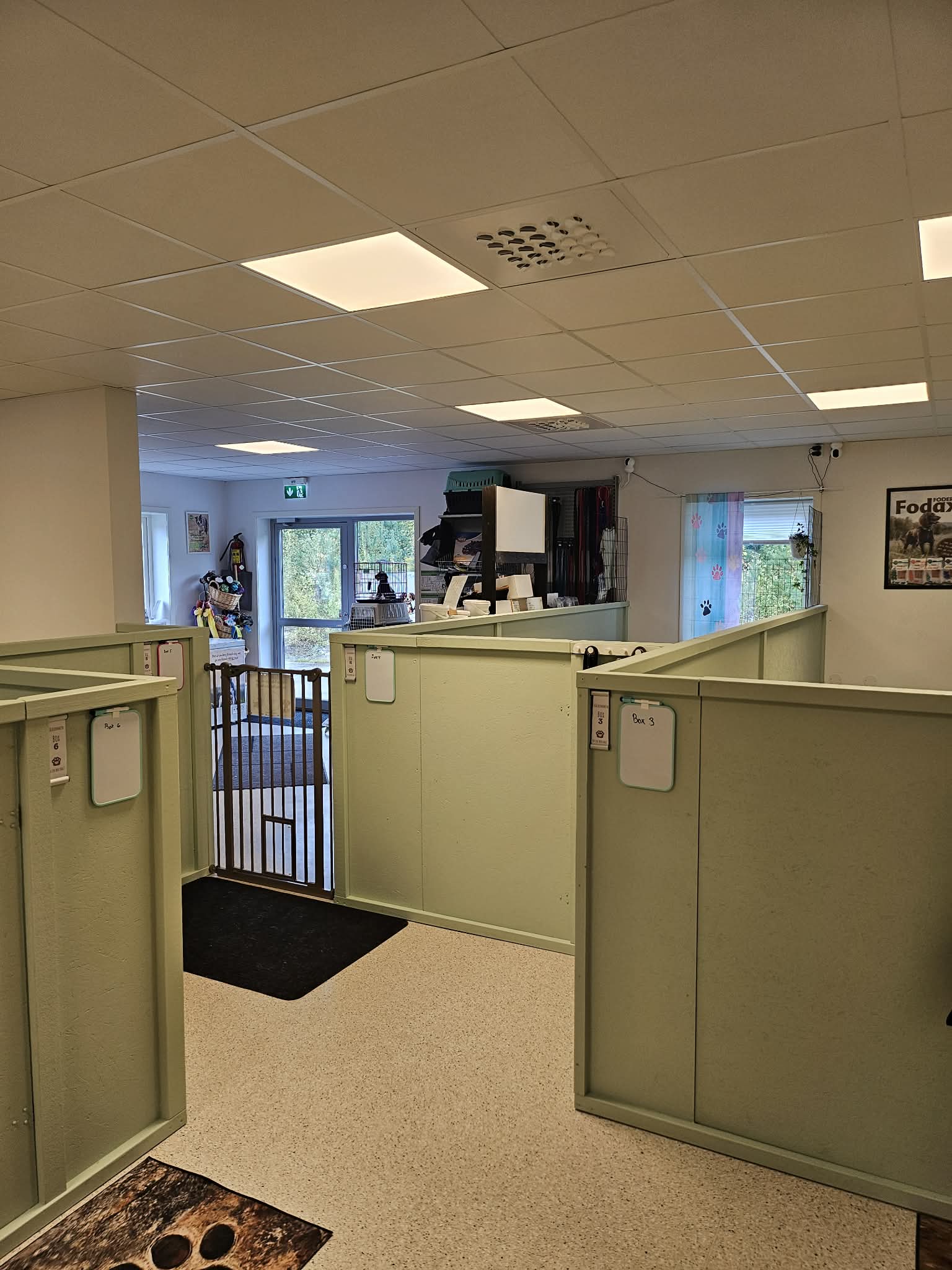 Källhagens Hunddagis galleri bild 3