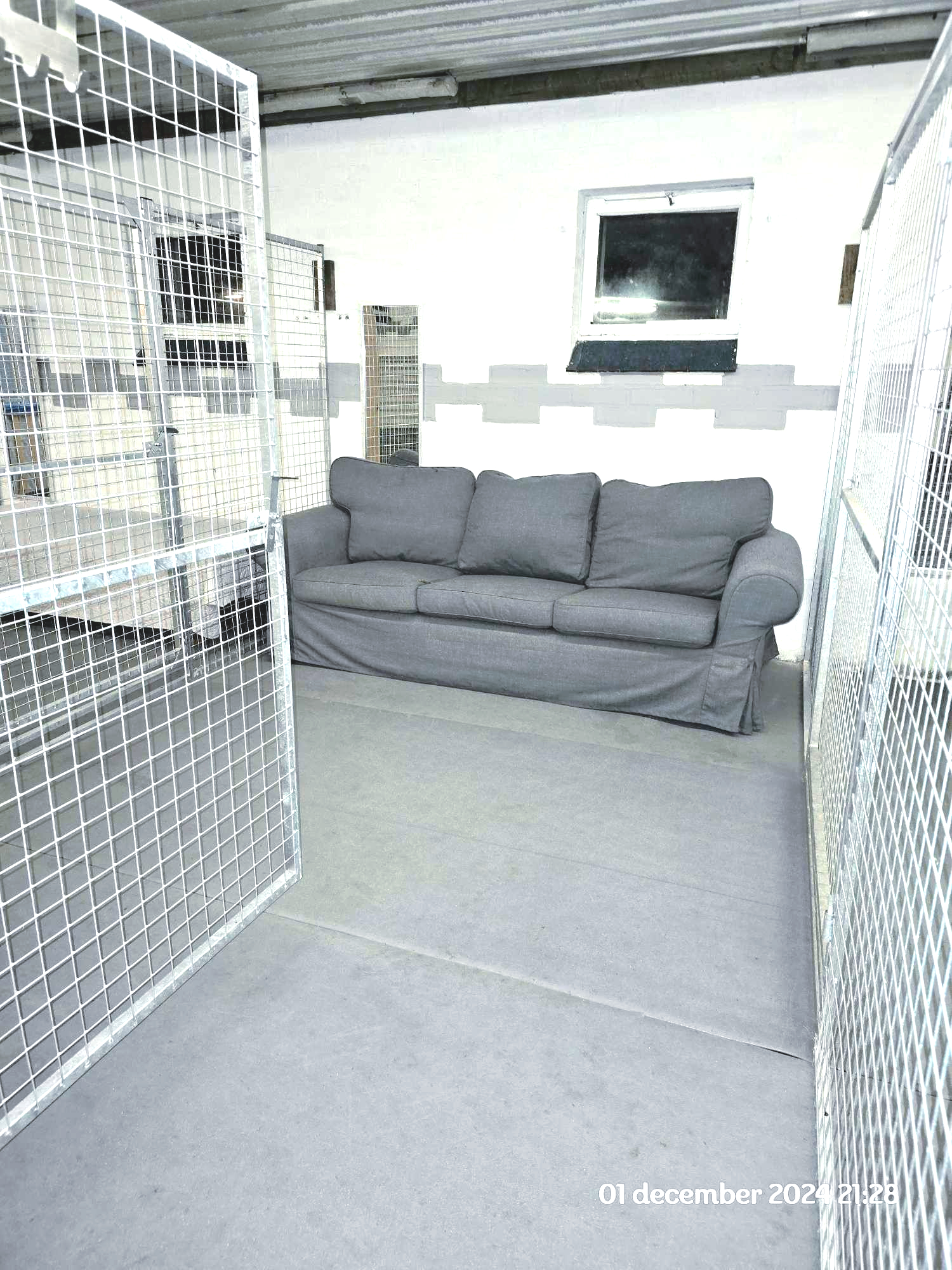 Kämparglöds Hundcenter AB galleri bild 5