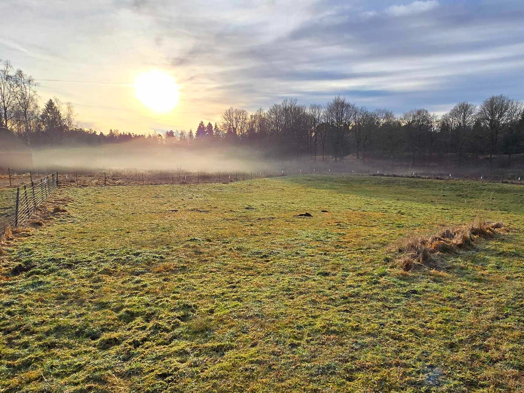 Kämparglöds Hundcenter AB galleri bild 12