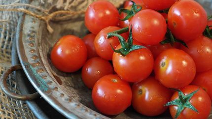Cherry Tomatoes