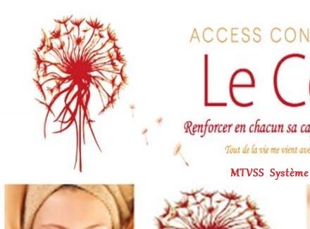 MTVSS - Système Immunitaire