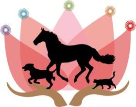 Animaux connectés 🐾