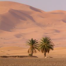 Erg Chebbi 